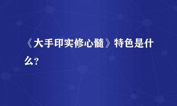 《大手印实修心髓》特色是什么？