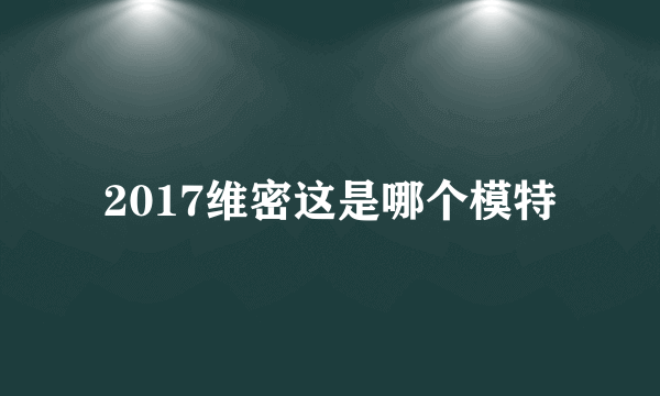 2017维密这是哪个模特