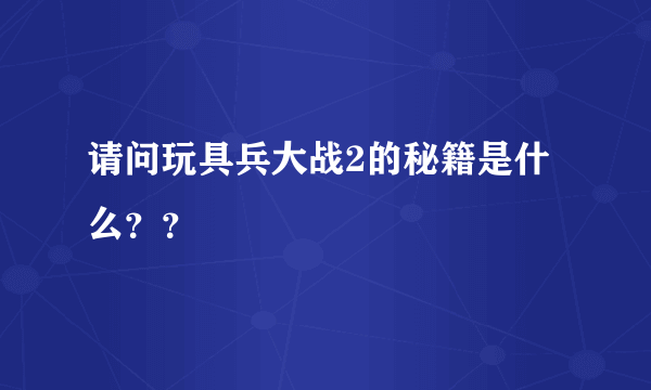 请问玩具兵大战2的秘籍是什么？？