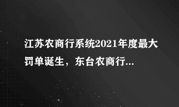 江苏农商行系统2021年度最大罚单诞生，东台农商行被罚140万