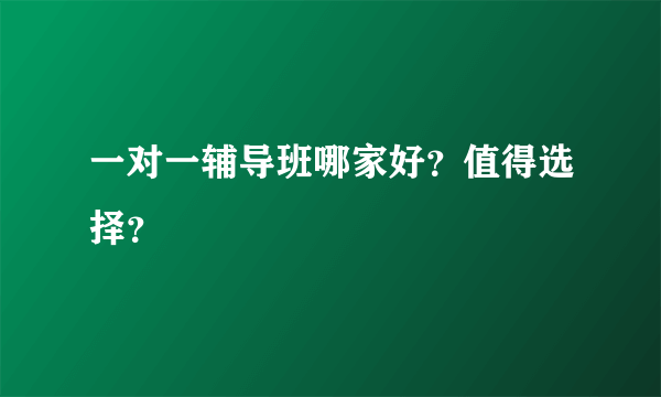 一对一辅导班哪家好？值得选择？