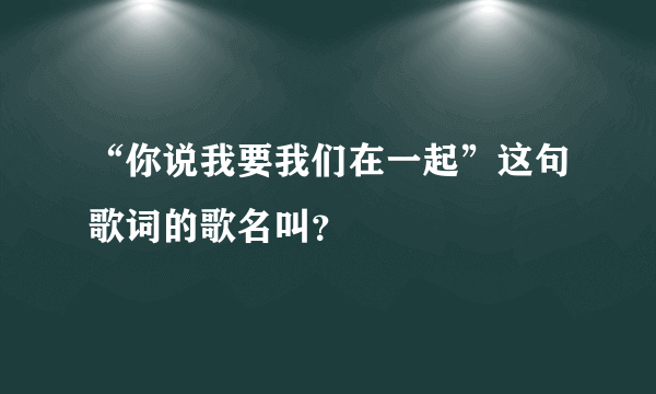 “你说我要我们在一起”这句歌词的歌名叫？