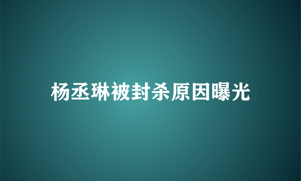 杨丞琳被封杀原因曝光