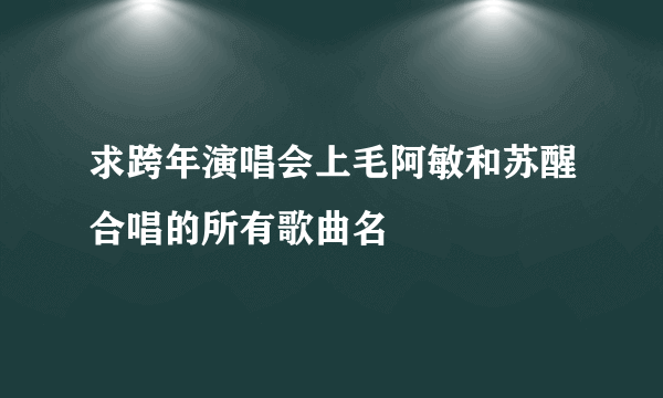 求跨年演唱会上毛阿敏和苏醒合唱的所有歌曲名