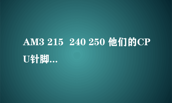 AM3 215  240 250 他们的CPU针脚数是多少