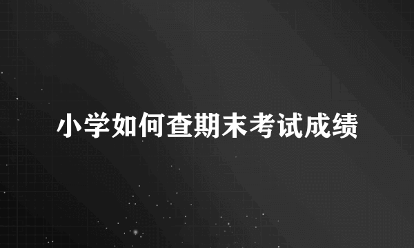 小学如何查期末考试成绩