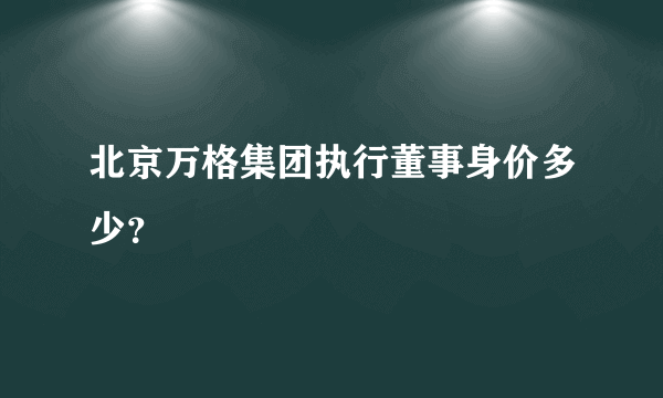 北京万格集团执行董事身价多少？