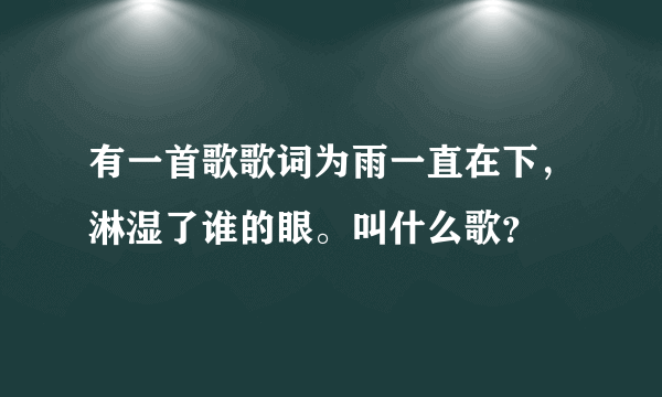 有一首歌歌词为雨一直在下，淋湿了谁的眼。叫什么歌？