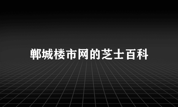 郸城楼市网的芝士百科