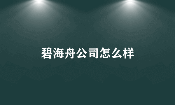 碧海舟公司怎么样