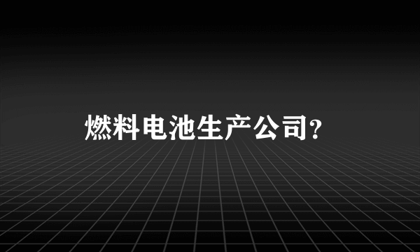 燃料电池生产公司？