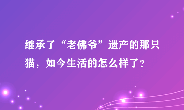 继承了“老佛爷”遗产的那只猫，如今生活的怎么样了？