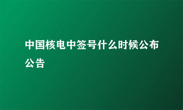 中国核电中签号什么时候公布公告