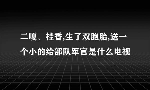 二嗄、桂香,生了双胞胎,送一个小的给部队军官是什么电视