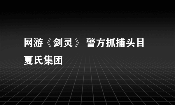 网游《剑灵》 警方抓捕头目夏氏集团