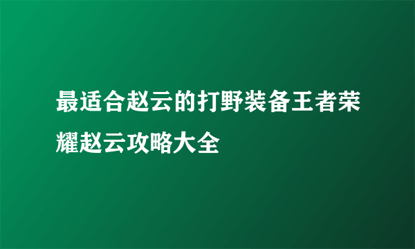 最适合赵云的打野装备王者荣耀赵云攻略大全