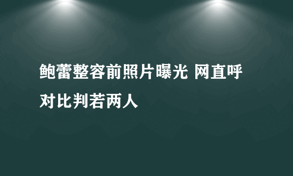 鲍蕾整容前照片曝光 网直呼对比判若两人