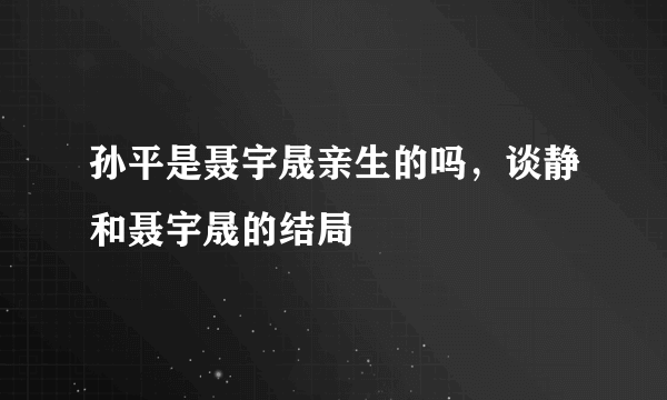 孙平是聂宇晟亲生的吗，谈静和聂宇晟的结局