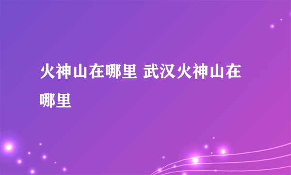 火神山在哪里 武汉火神山在哪里