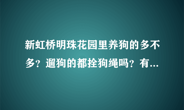 新虹桥明珠花园里养狗的多不多？遛狗的都拴狗绳吗？有流浪宠物吗？