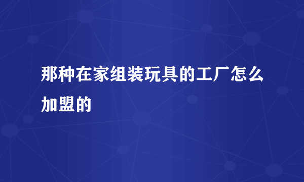 那种在家组装玩具的工厂怎么加盟的