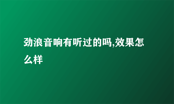 劲浪音响有听过的吗,效果怎么样