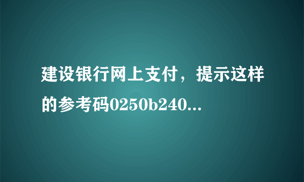 建设银行网上支付，提示这样的参考码0250b2407061，是什么意思？