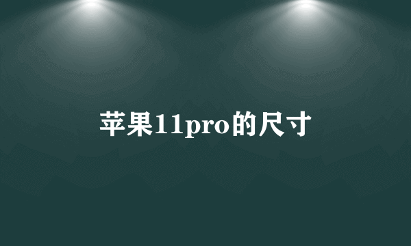 苹果11pro的尺寸