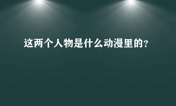 这两个人物是什么动漫里的？