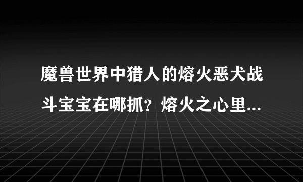 魔兽世界中猎人的熔火恶犬战斗宝宝在哪抓？熔火之心里的不能抓啊