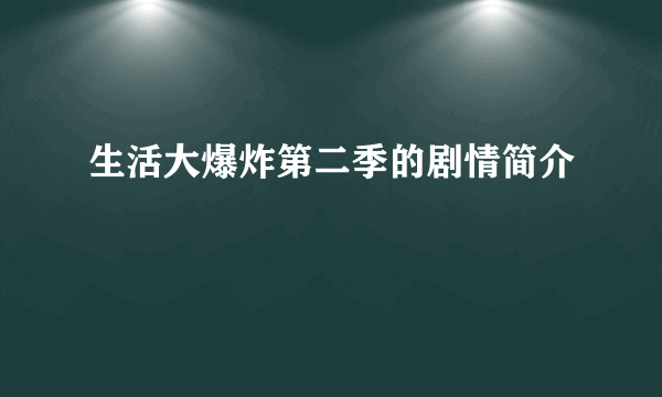 生活大爆炸第二季的剧情简介