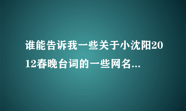 谁能告诉我一些关于小沈阳2012春晚台词的一些网名，好的话加分