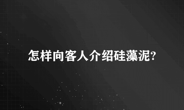 怎样向客人介绍硅藻泥?