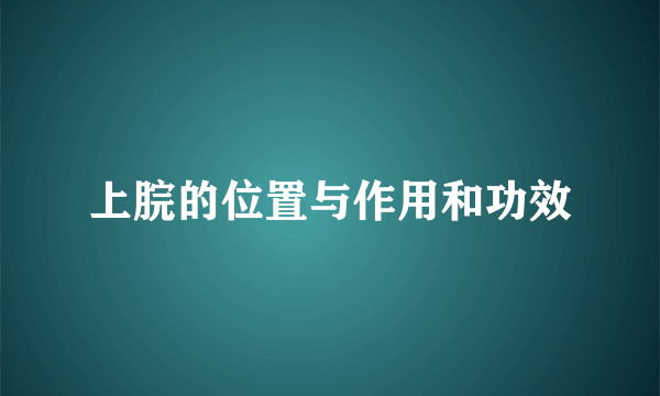 上脘的位置与作用和功效