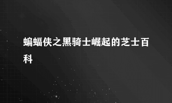 蝙蝠侠之黑骑士崛起的芝士百科