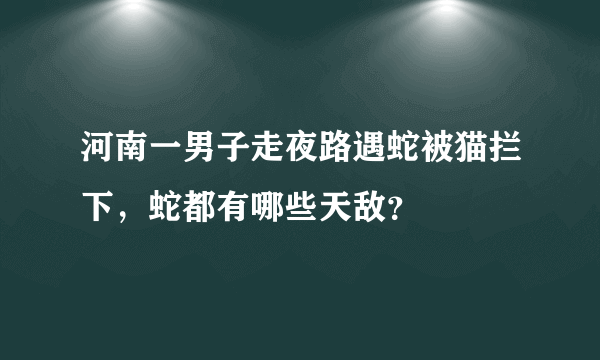 河南一男子走夜路遇蛇被猫拦下，蛇都有哪些天敌？