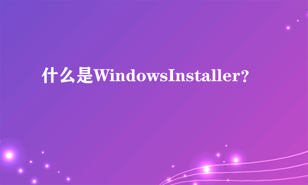 什么是WindowsInstaller？