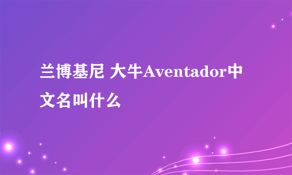 兰博基尼 大牛Aventador中文名叫什么