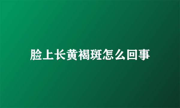 脸上长黄褐斑怎么回事