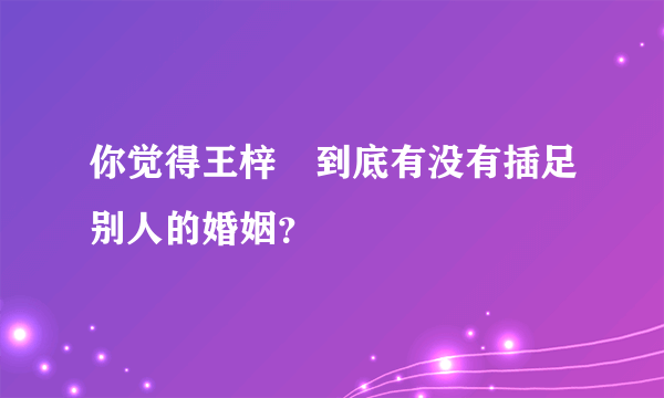 你觉得王梓芠到底有没有插足别人的婚姻？