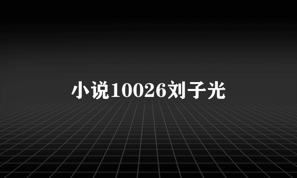 小说10026刘子光