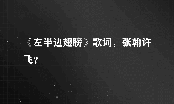 《左半边翅膀》歌词，张翰许飞？