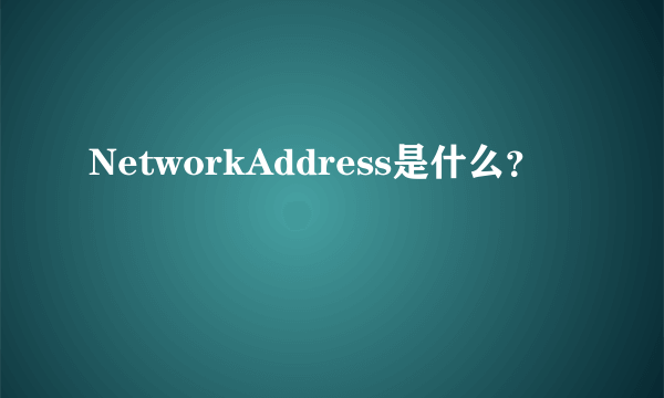 NetworkAddress是什么？