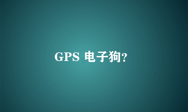 GPS 电子狗？