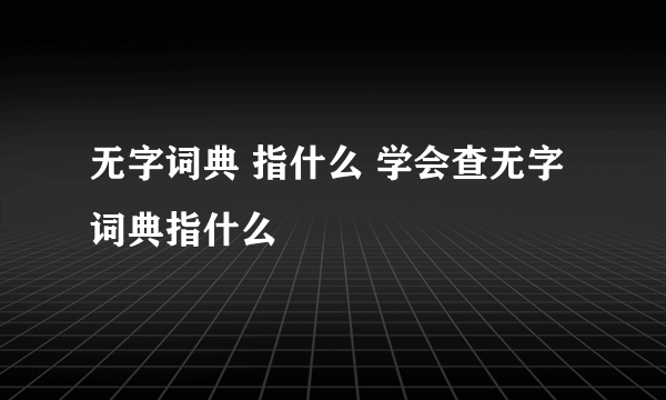 无字词典 指什么 学会查无字词典指什么