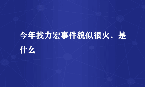 今年找力宏事件貌似很火，是什么