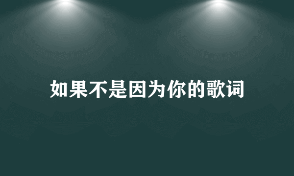 如果不是因为你的歌词