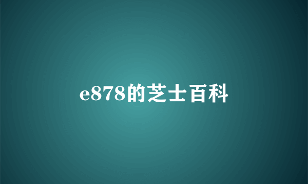 e878的芝士百科