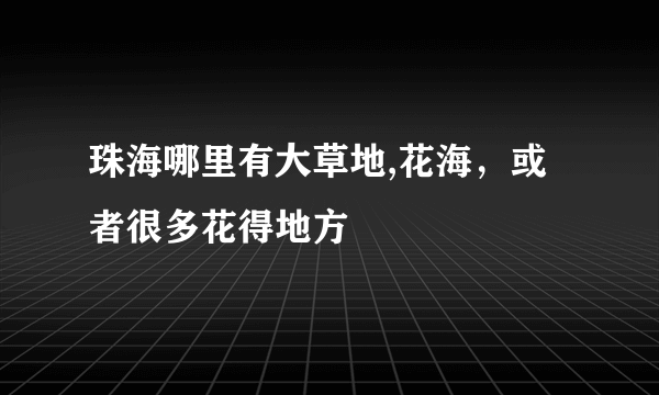 珠海哪里有大草地,花海，或者很多花得地方