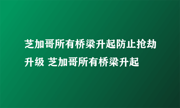 芝加哥所有桥梁升起防止抢劫升级 芝加哥所有桥梁升起